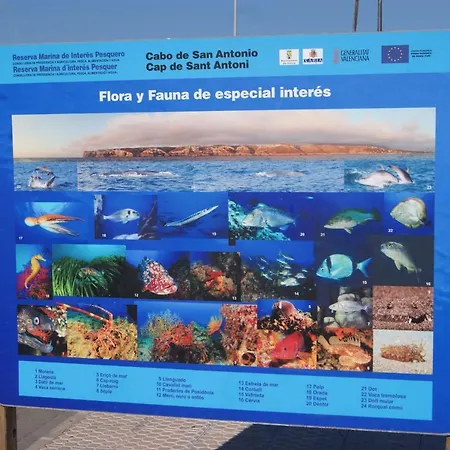 Marinas El Palmar 公寓 德尼亚